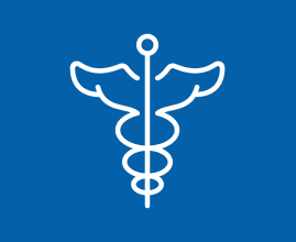 Servizi icon