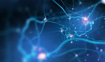 Neuro